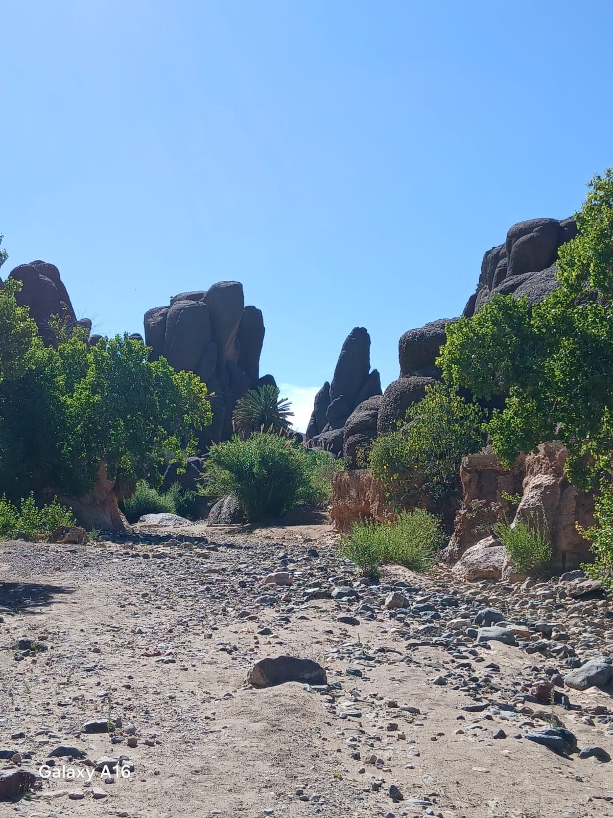 A wide dry riverbed running between weathered granite outcrops and green oleander in the Anti-Atlas
