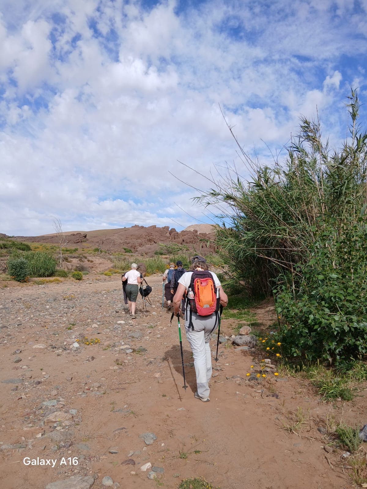 Walkers with poles following a broad valley track between rock outcrops and green riverside scrub in the Atlas foothills