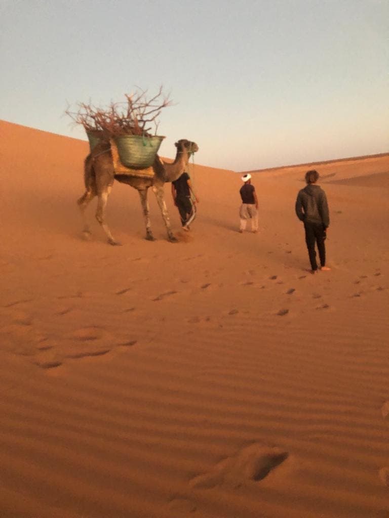 Lifetimes Travel photograph 16