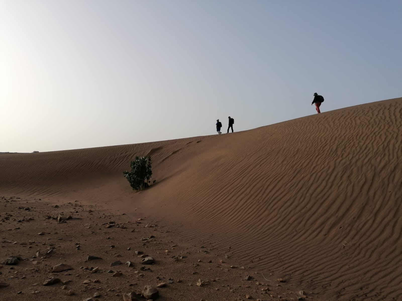 Lifetimes Travel photograph 18