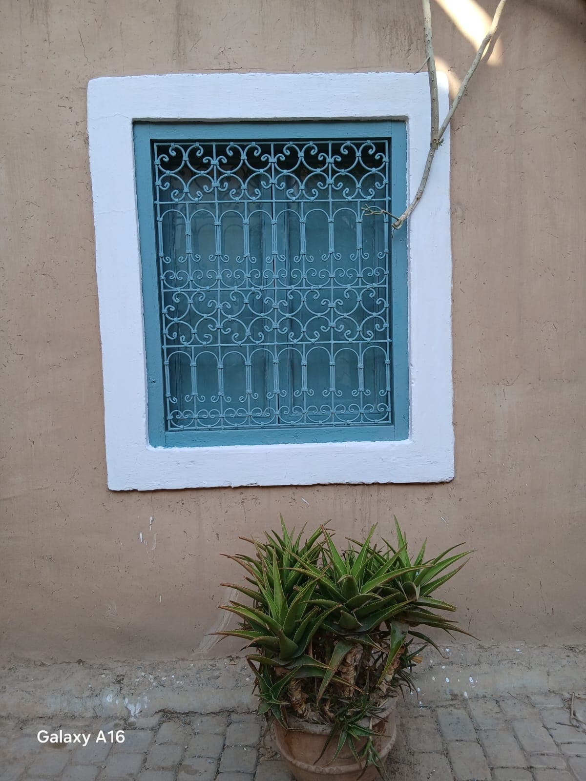 Lifetimes Travel photograph 106