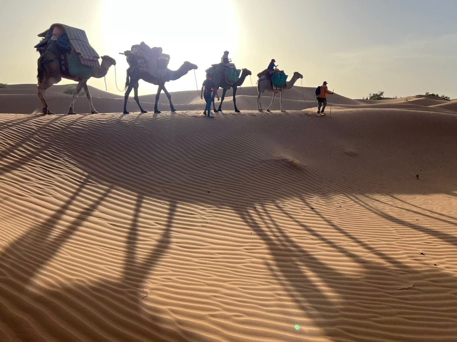 A camel caravan crossing a dune crest at golden hour, long shadows striping the rippled sand in the foreground