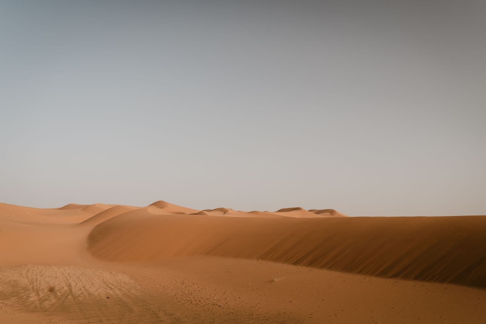 Vast rippled sand dunes near Merzouga stretching to the horizon under a pale sky